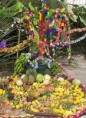 /album/fotogaleria/a7139167653-48829af298-jpg/