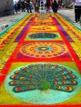/album/fotogaleria/alfombra3-jpg/